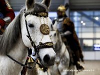 cavaliada  (25)  Cavaliada Poznań 2016 fot.ItMultimediaCreative © ® dla Kroniki Poznania